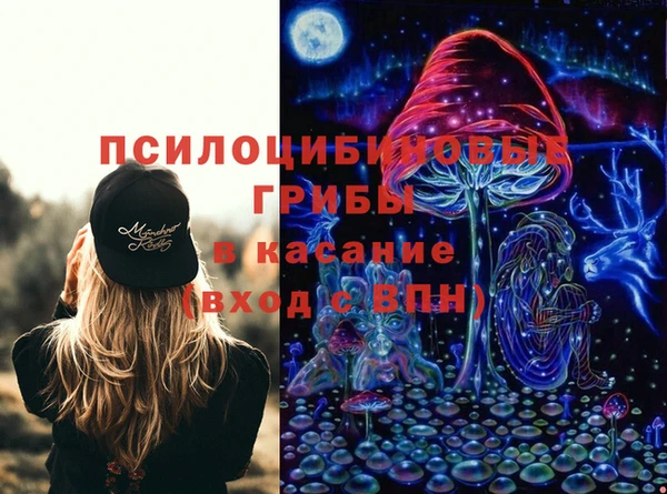 spice Алексеевка