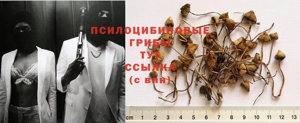 spice Алексеевка