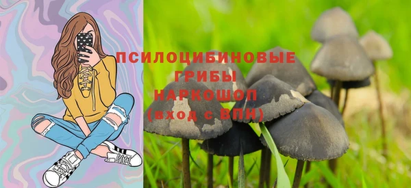 таблы Алексин