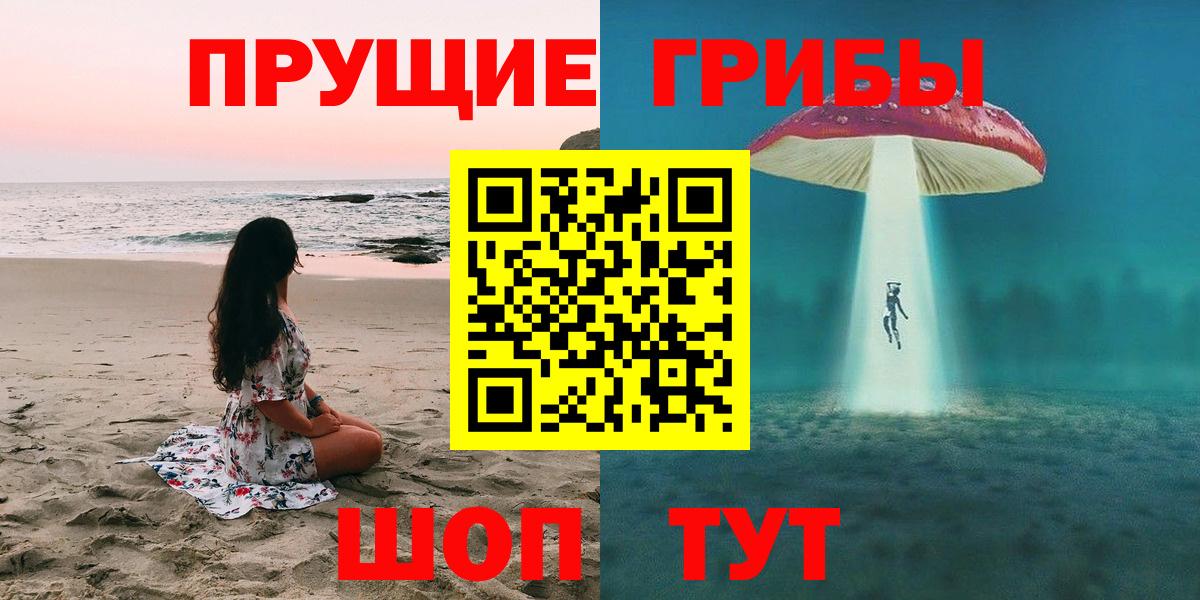 Псилоцибиновые грибы GOLDEN TEACHER Слободской
